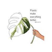 Plant Sticker by Monstera Mania