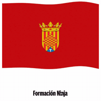 Flag Spain GIF by Formación Ninja