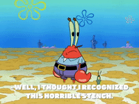 season 7 greasy buffoons GIF by SpongeBob SquarePants