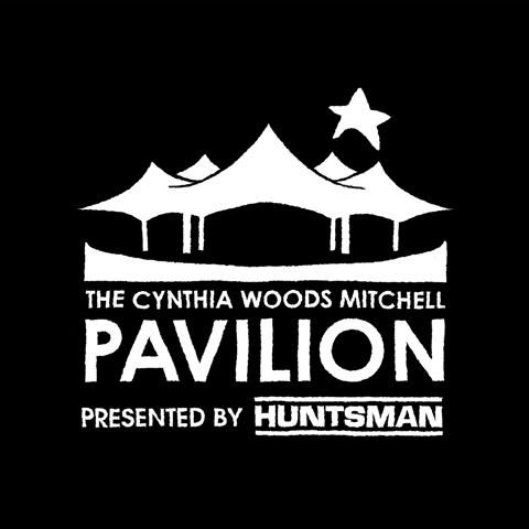 woodlandspavilion music concert livemusic rockmusic GIF