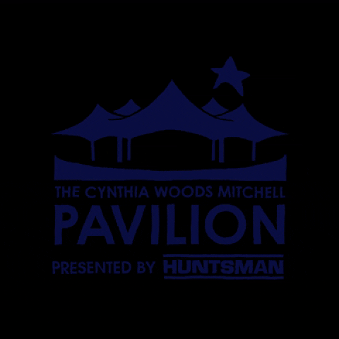 woodlandspavilion music concert livemusic rockmusic GIF