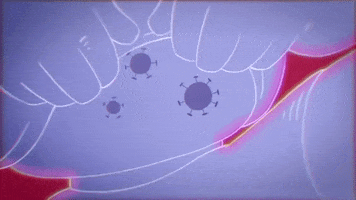 freddiemercury freddie mercury love me like theres no tomorrow GIF