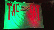 subpoprecords sub pop subpop tacocat this mess is a place GIF