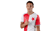 Football Soccer Sticker by SK Slavia Praha