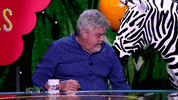 Ilustres Ignorantes Gift GIF by Movistar+