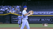 Regular Season Sport GIF by MLB