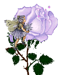 fairies Sticker