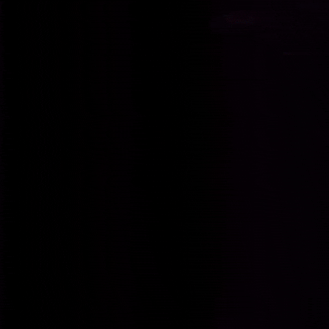 Black Friday GIF by Cecio