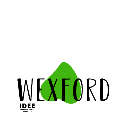 irlanda wexford Sticker by IDee