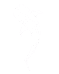 SeasonParadise season paradise visit thulusdhoo amphibuzz whaleshark excursion Sticker