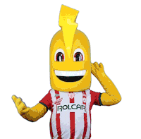 Gogo Go Sticker by Club Necaxa