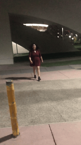 Los Angeles Running GIF