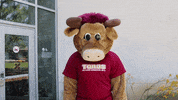 csudhteddytoro sad crying cry upset GIF