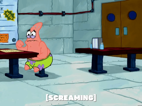 season 5 GIF by SpongeBob SquarePants