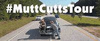 jim carrey harry dunne GIF by Dumb and Dumber To