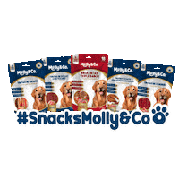 Mollyandco molly mollyco mollyandco snacksmolly Sticker