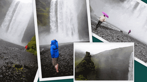 BaeBees giphyupload nature adventure outdoors GIF