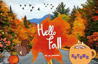 Fun Love GIF by The SOL Foundation