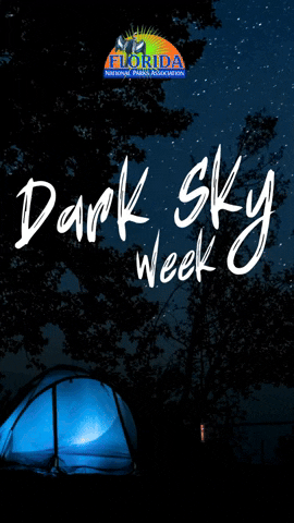 kelseynicoleoglesbee giphyupload GIF