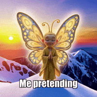 GIF by BuddhaFlyJourney