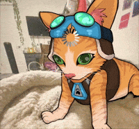 ikadakat overwatch overwatch meme jetpack cat GIF
