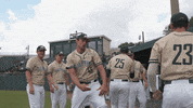 GIF by Jacksonville University