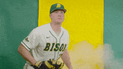 Catch Anderson GIF by NDSU Athletics