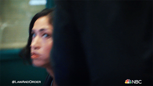 Season 22 Nbc GIF by Law & Order