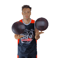 Basketball Wow Sticker by Bavo Freestyles