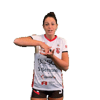 Cuneo Sticker by cuneo_granda_volley