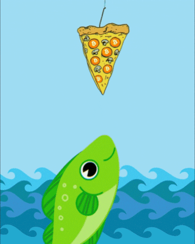 Bitcoin Pizza Day GIF by stake.fish