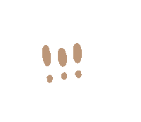 Exclamation Sticker
