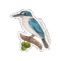 Philippines Kingfisher Sticker