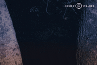 comedy central tree GIF by Drunk History