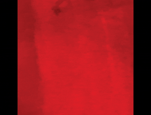 leehodges0e44 giphyupload GIF