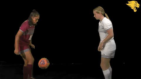 D3Soc Cuc19 GIF by CUCougars