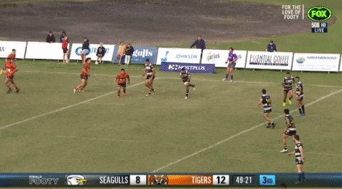 OscarJP94 giphyupload brimson try GIF