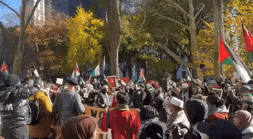 Pro-Palestine Protesters Interrupt Macy's Thanksgiving Day Parade