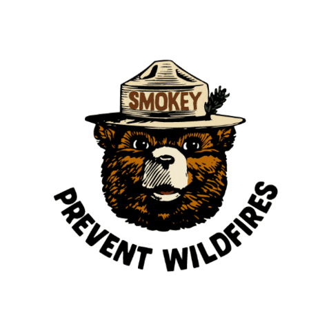 YCSL bear smokey 곰 곰돌이 Sticker