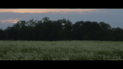 premonition of the hex GIF by Circa Survive