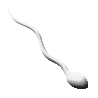 3D Man Sticker by Cavan Infante