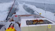 wicked tuna GIF by National Geographic Channel