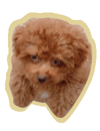 Dog Love Sticker