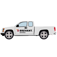 Cmt Brevant Sticker by cortevaarg