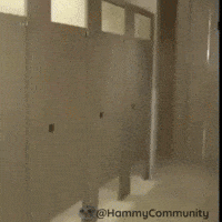 Toilet Paper Surprise GIF by Sad Hamster