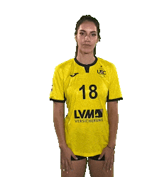 USC_Muenster ball volleyball waving vbl Sticker