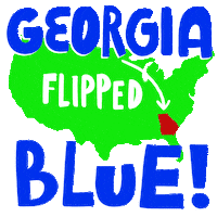 Election 2020 Georgia Sticker by Creative Courage