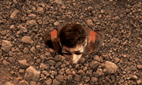 Mahesh Babu Celebration GIF