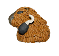 YeahSkateboards capivara yeah skateboards giugliodelia Sticker