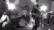 topshelf records prawn GIF